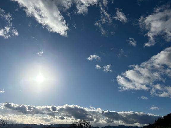 お久しぶりです