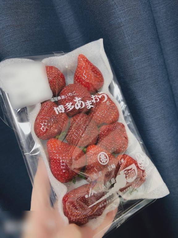 金晩|*･ω･)ﾁﾗｯ