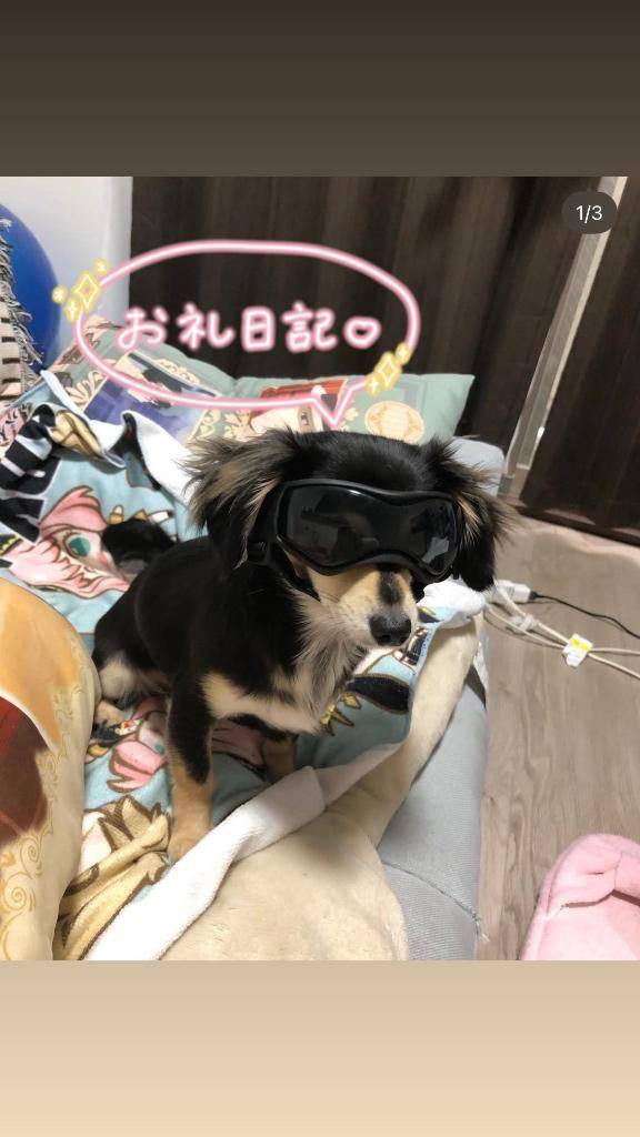 しぐれ 牝の本能が疼く☆最高美女の淫乱フェラ潮吹き祭り(タレント倶楽部アダルト)