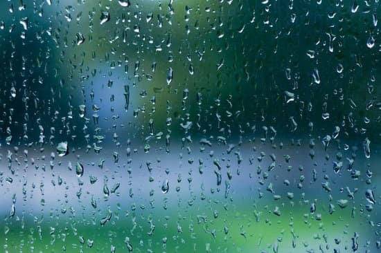 どんよりお天気?