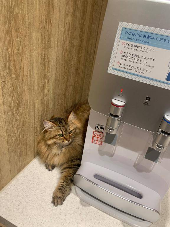 引き続き???