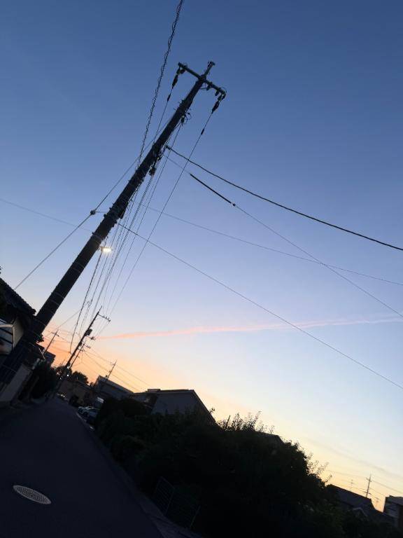 今日までおやすみです?