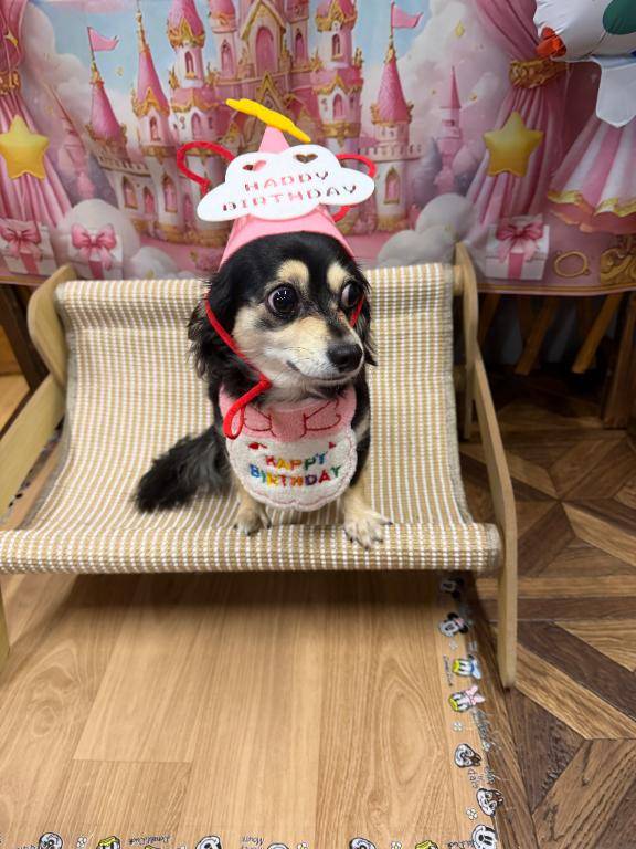 岡山人妻エリア???