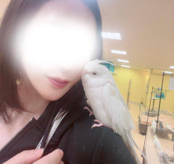 私の癒し