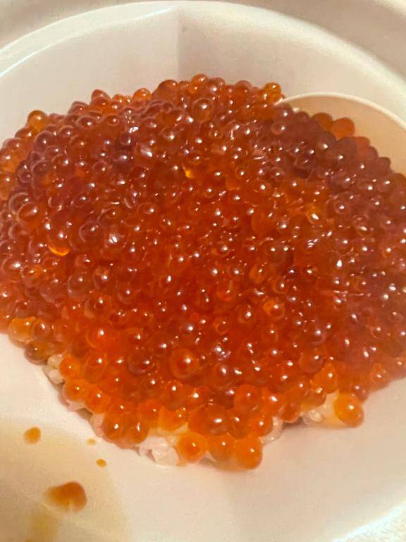 おはようございます?