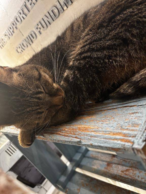 ありがとうございました??