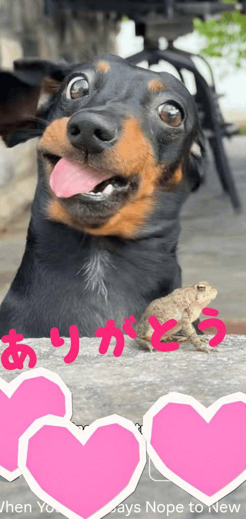 お礼???
