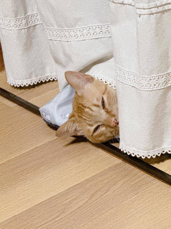 やっと出勤だ～！