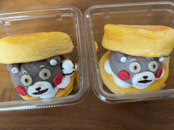今すぐ熊本に帰りたいけどまだ帰れない