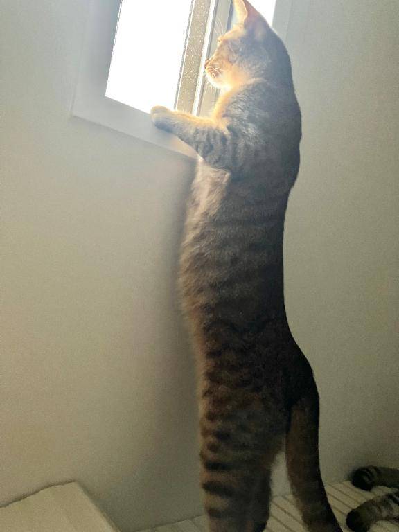 明日からっ★