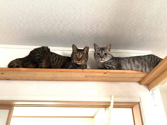おーーーーひさしっっ