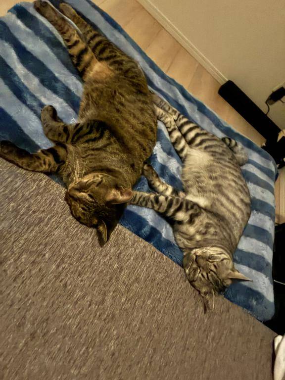 人の事言えない笑