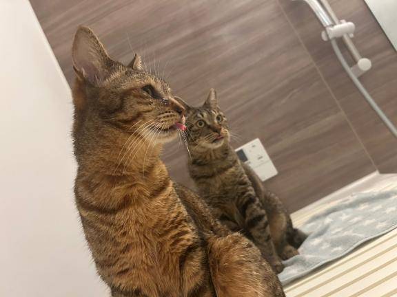 来週水曜までお休みします