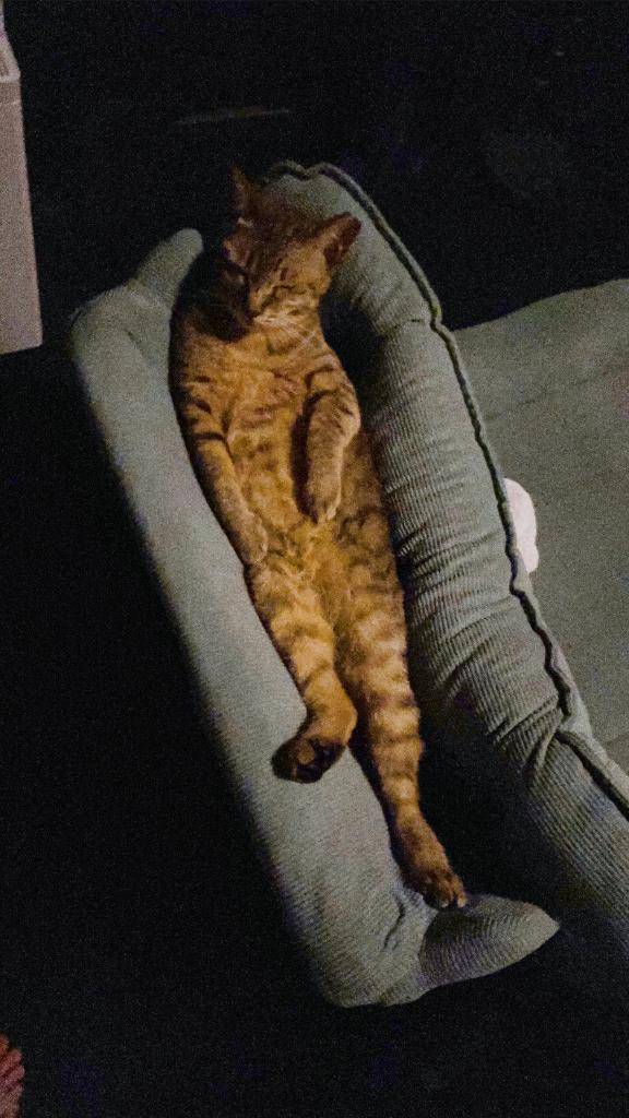 くっそぉぉ笑