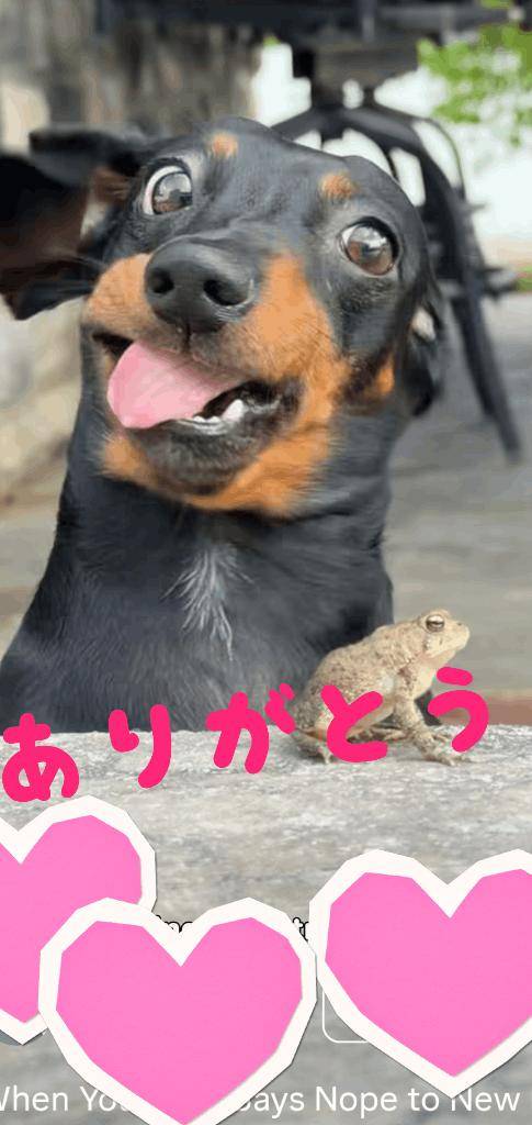 まゆみ(多恋人倶楽部 宇部 )