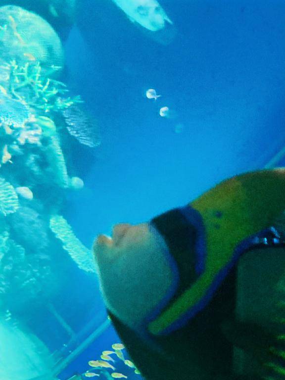 水族館のつづき。