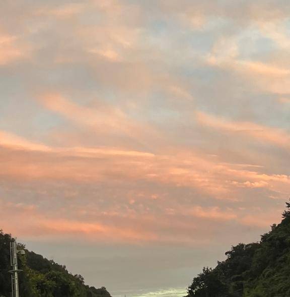 [お題]from:トンボさん