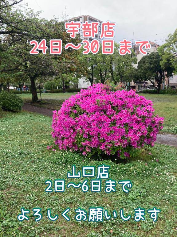 みどり
