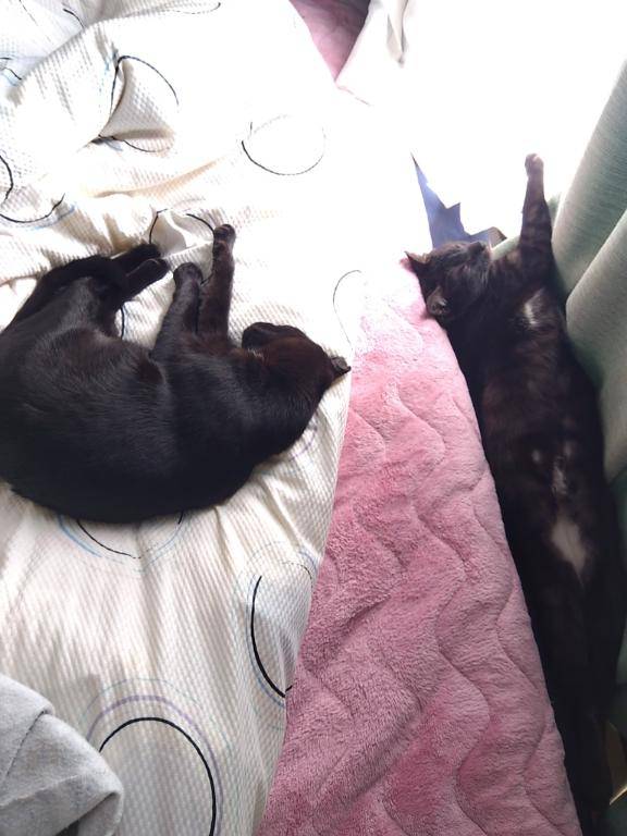 おはようございます！