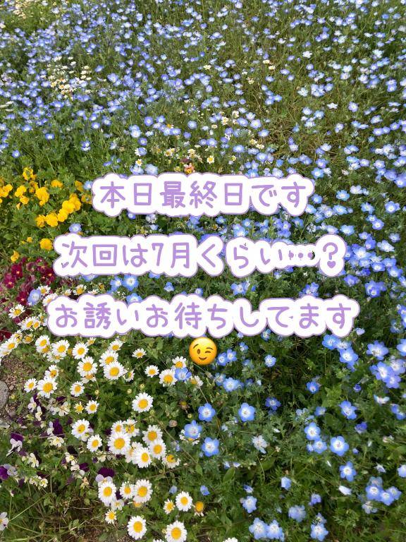 みどり