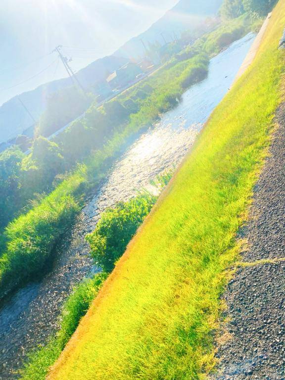 森林浴してきた。