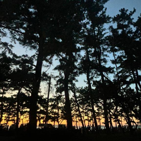 まってるよー！