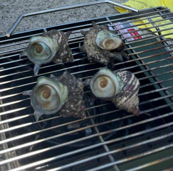釣りー！