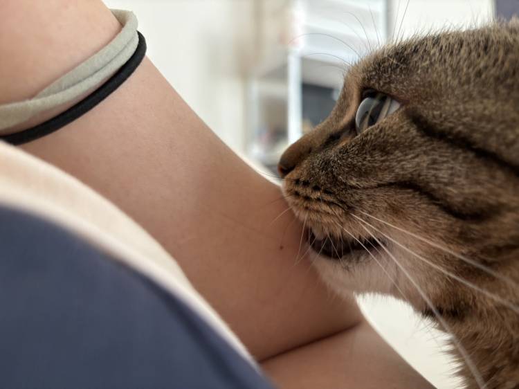 お疲れ様です。