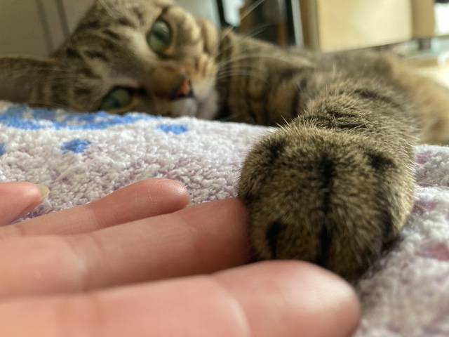 出掛ける頃に…