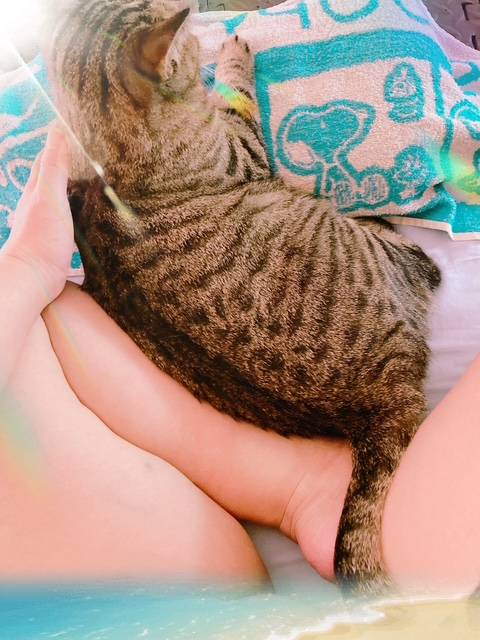 こんにちは。