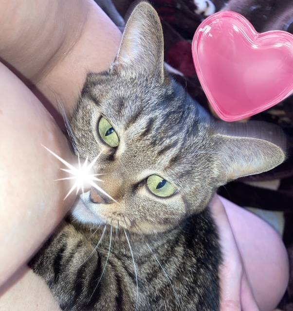 盛り上がるよね～♪