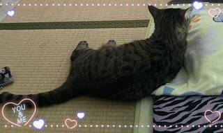 暑さで…