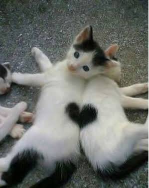 お久しぶりです❣️