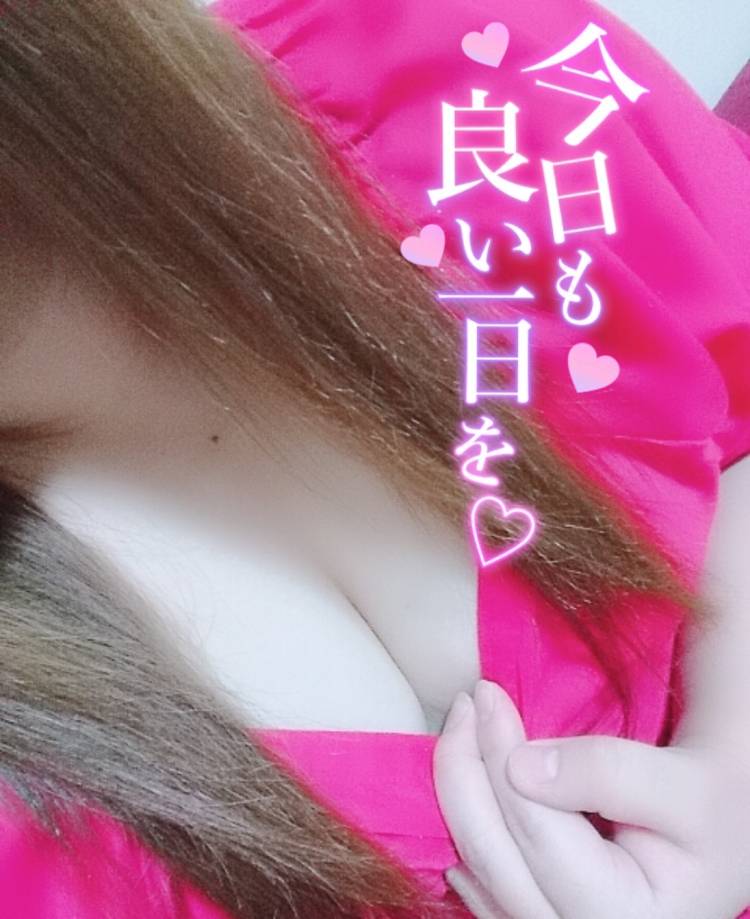 しゅっ🐱❤