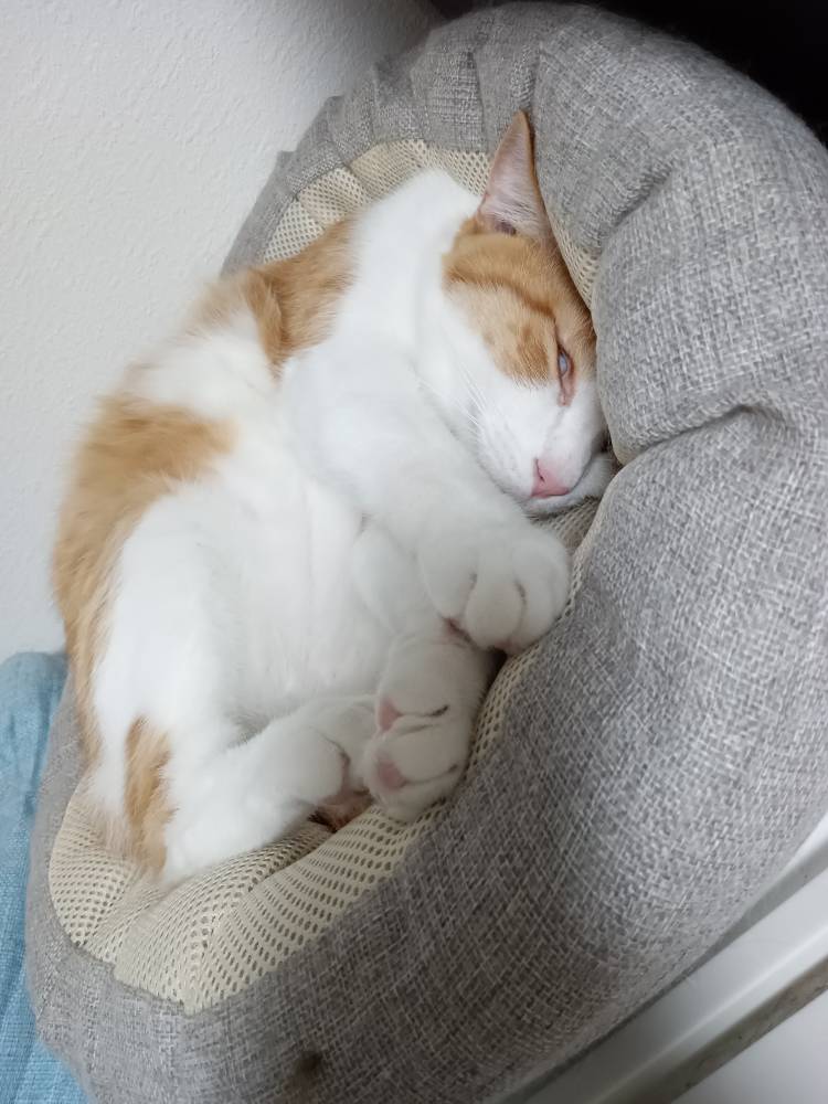 次回出勤について😊