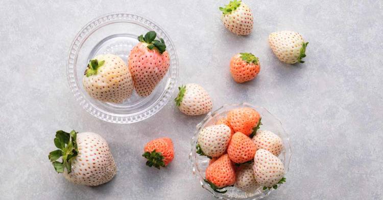 ひかる【情事にハマるDカップポチャボディ】（激安～ポッチャリ巨乳専門店～とんとん）