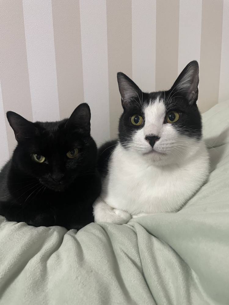 ゆうかさんへ(⁠✿⁠^⁠‿⁠^⁠)