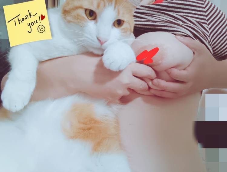 退勤だにゃん🥳