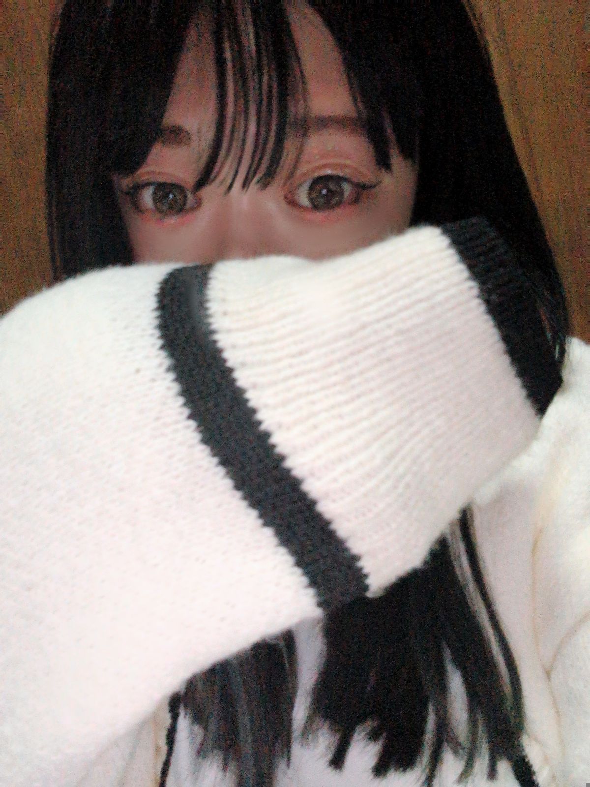 今週予定