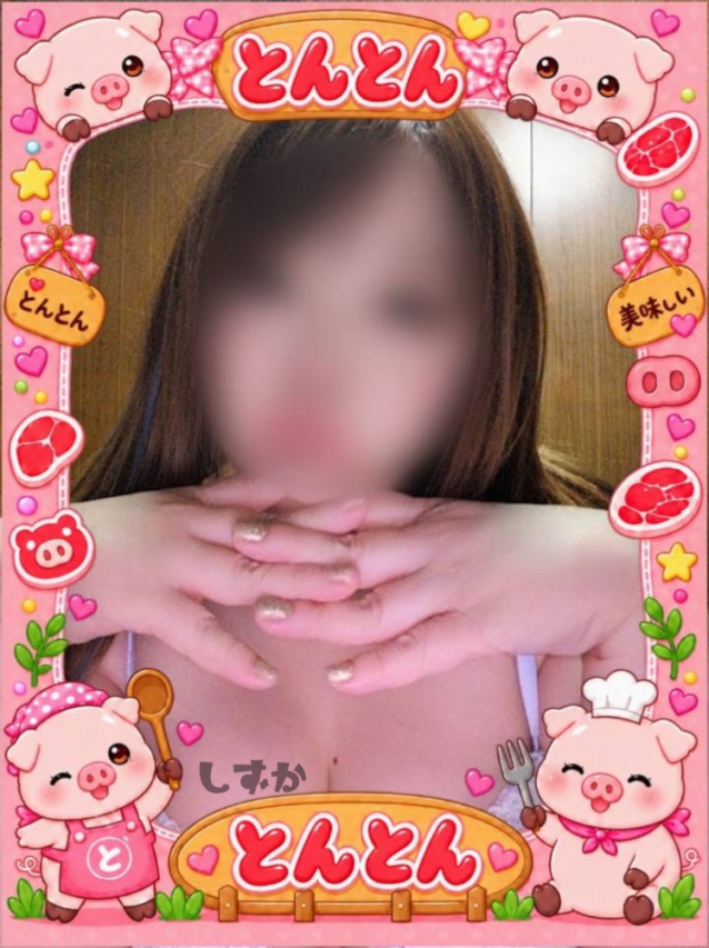 しずか【ドMでドエロなお姉さま】(激安~ポッチャリ巨乳専門店~とんとん)
