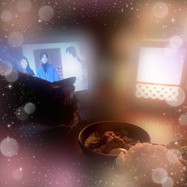 猫ちゃんと灯りに包まれてほどける夜///
