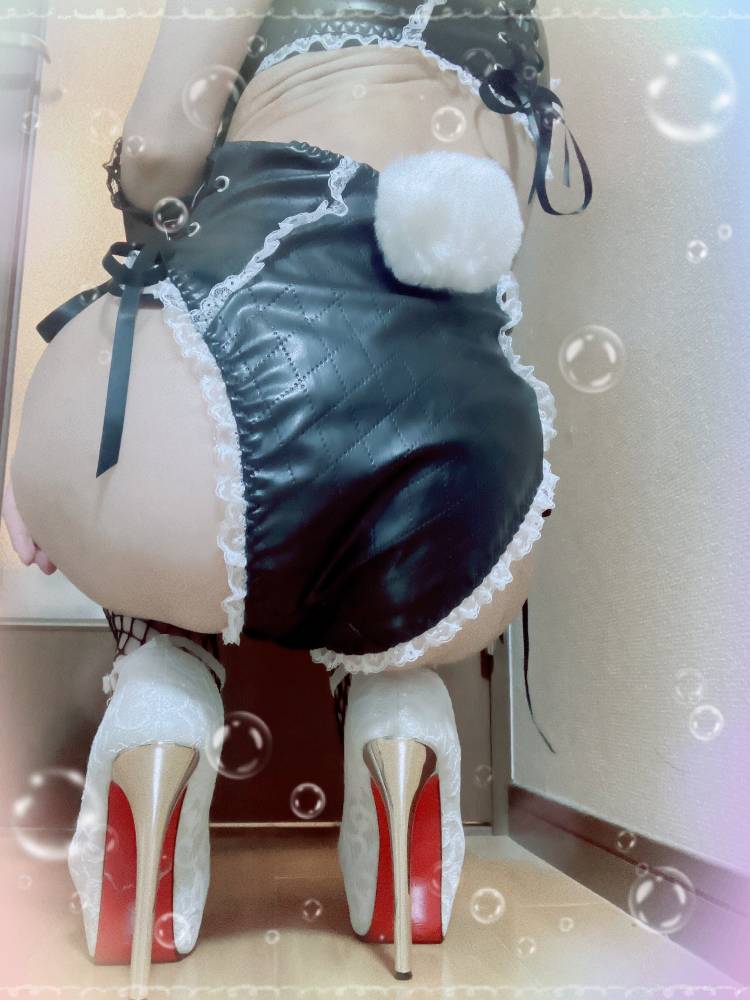 サモエド…？！