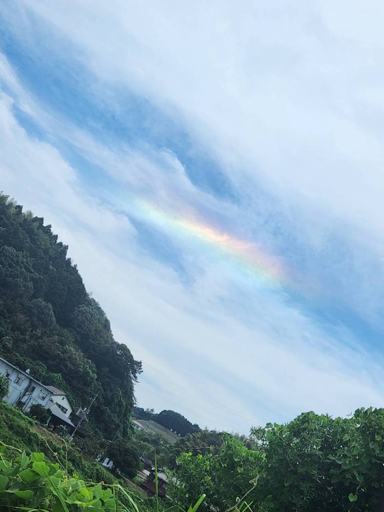 おはようございます