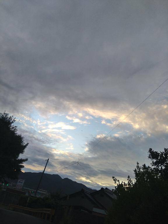 夕方の散歩…