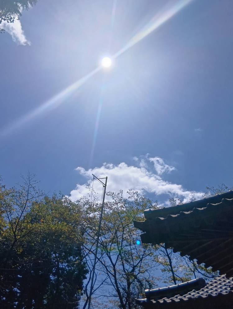 あすか