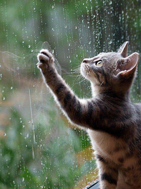 おはようございます