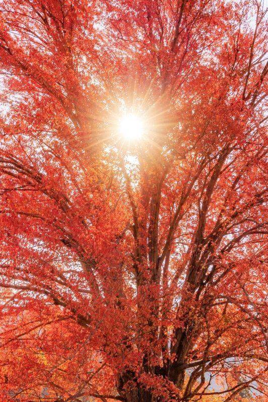 おはようございます。