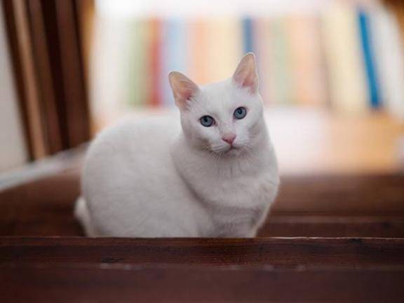 [お題]from:二人で競馬場行きたいさん