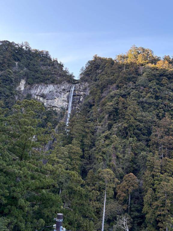 3/16(月)明日からぁぁぁぁ！