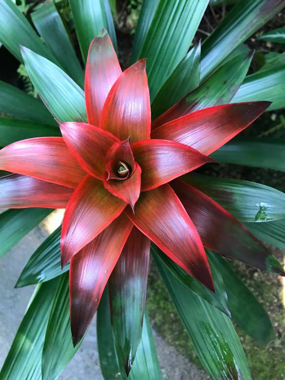 りの（[ｴﾛ妻多数在籍] 妻美喰い ～20代清楚系若奥様から60代ﾄﾞM淫乱熟女まで多数在籍～　宇部-山口-防府-美祢）